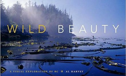Wild Beauty: Book Review