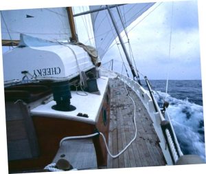 Cheeky safely stowed aboard Lin and Larry Pardey’s Taleisin.