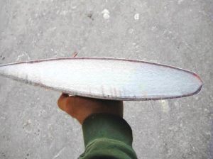 a cross section of a good ruddermade with closed-cell urethane foam.