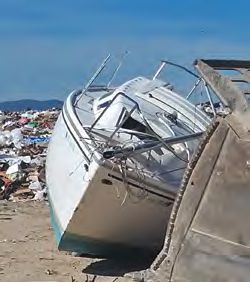 Irish Eyes was a sad sight in the landfill.