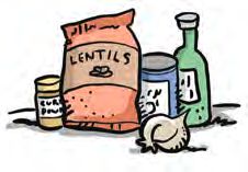 lentils illustration