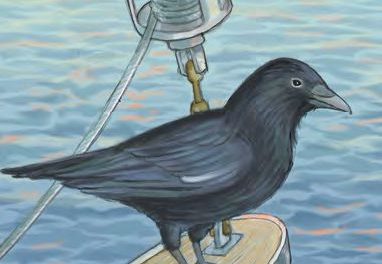 As the Crow Flies